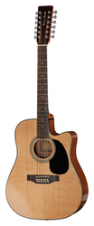 Dvanáctistrunná kytara Harley Benton HBD200-12 NT (BK)